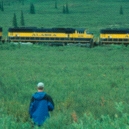 train
